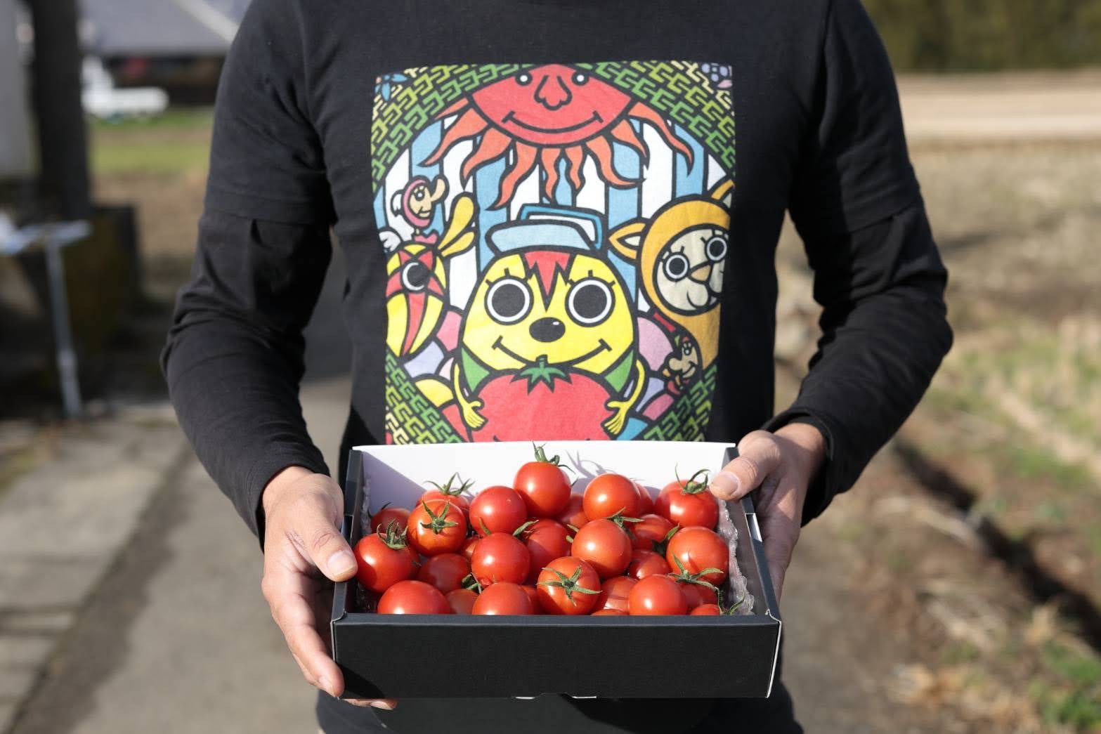 楽天ふるさと納税 瓦田こいとまと