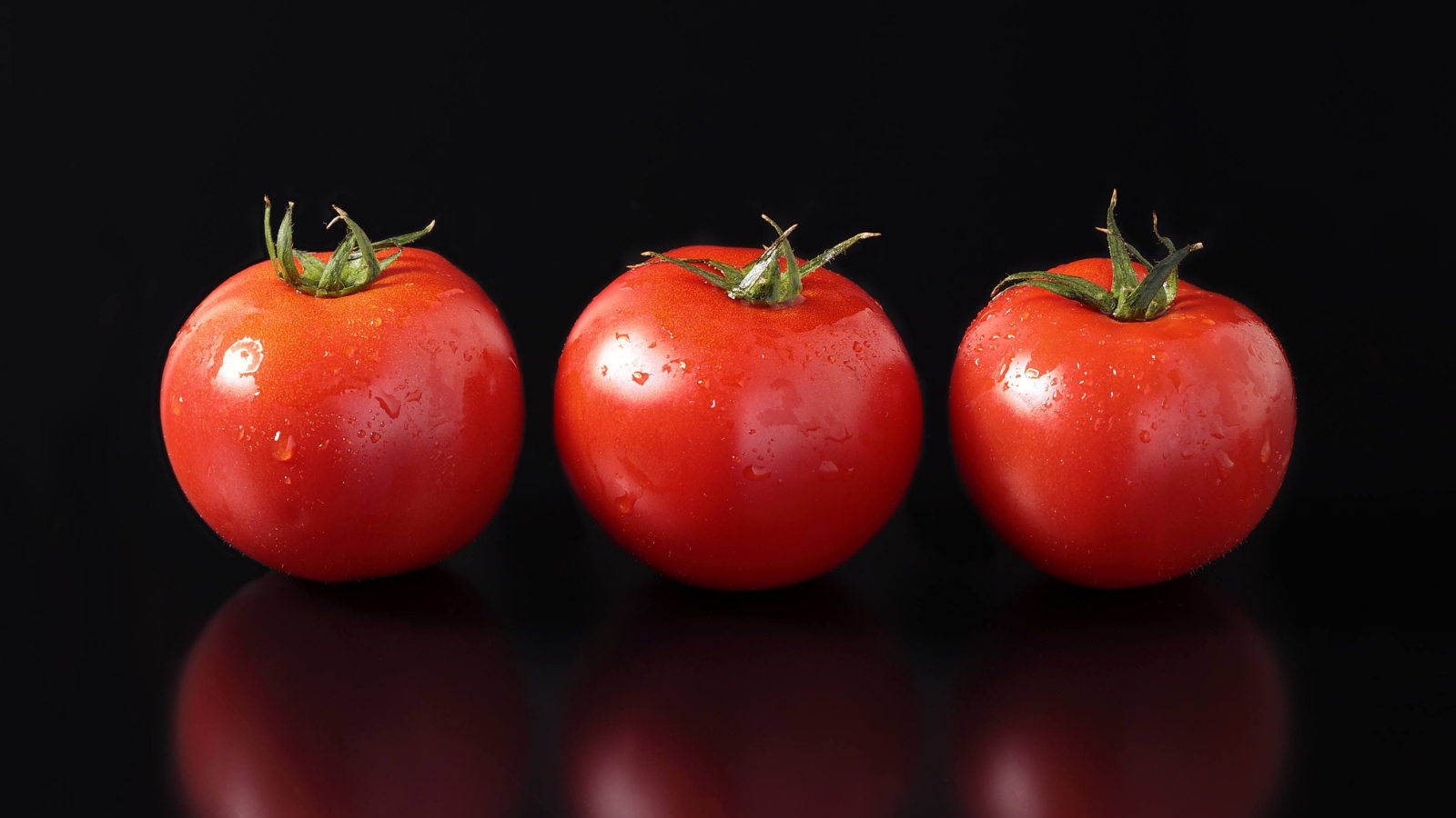 お取引先のイメージ