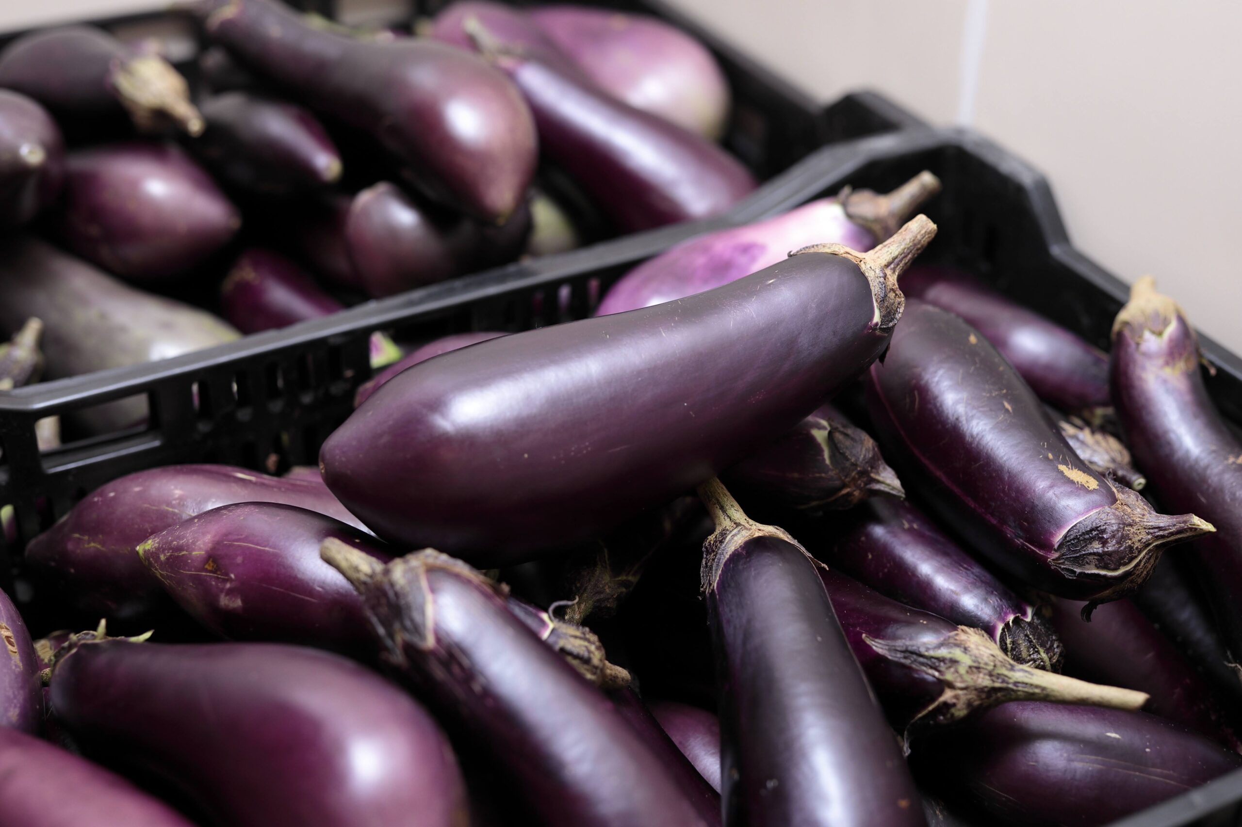 瓦田こいとまと 佐土原なす