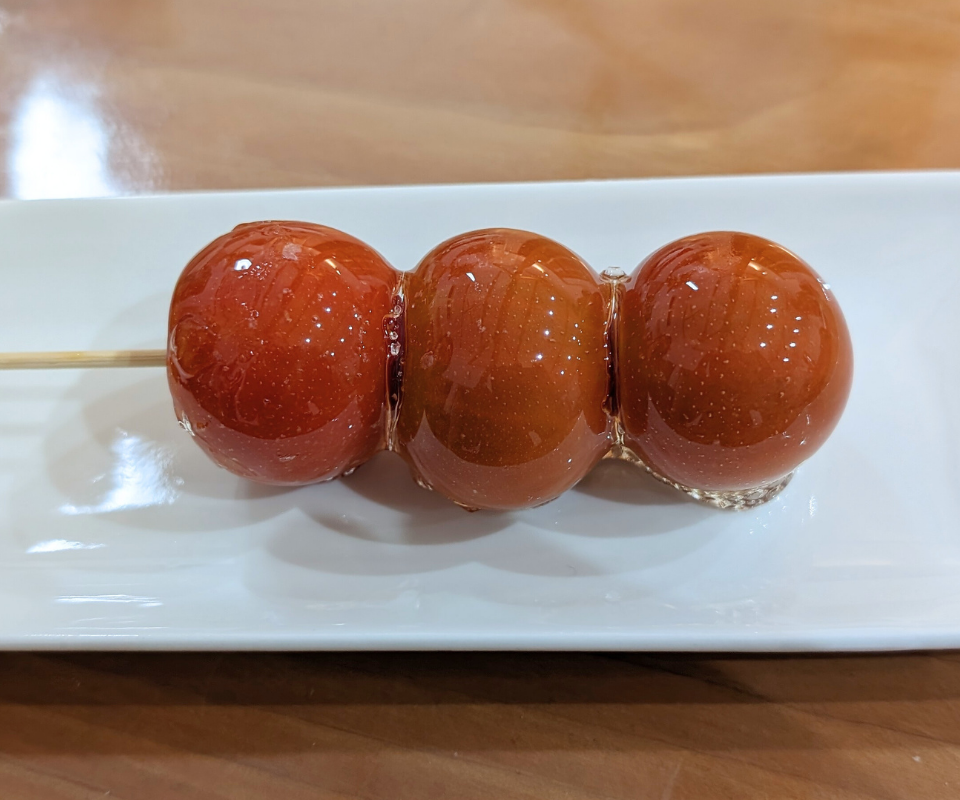 瓦田こいとまと トマト