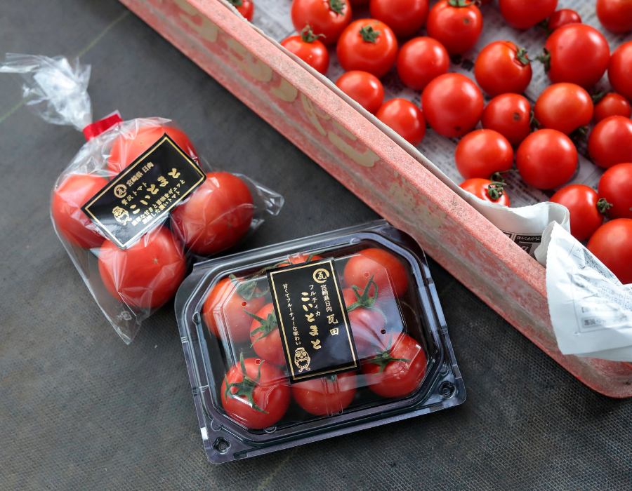 瓦田こいとまとのイメージ